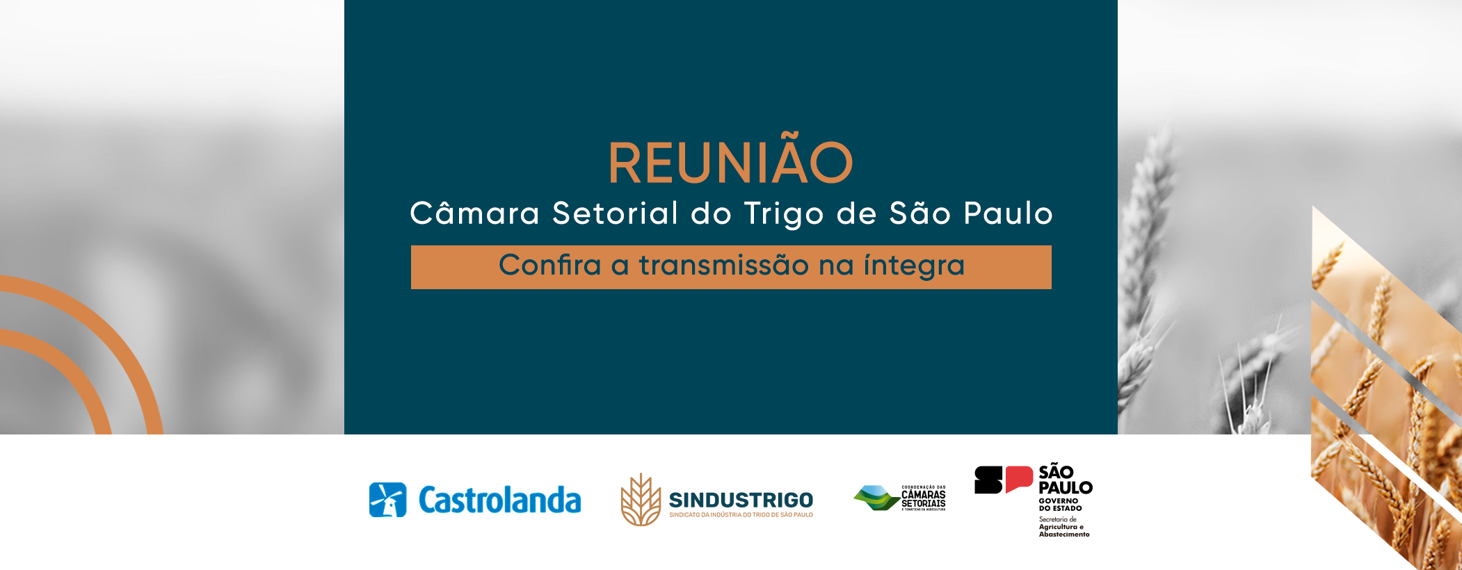 Reunião da Câmara Setorial do Trigo de São Paulo